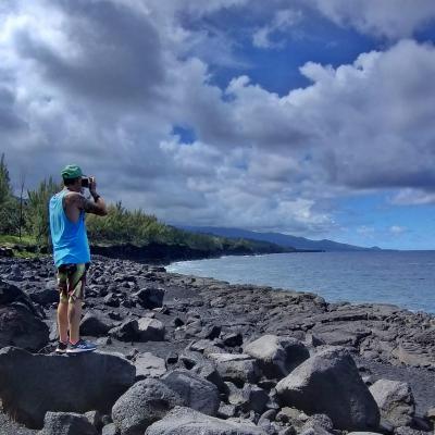 Ile de La Réunion - Sud Sauvage