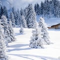 Destination chamonix