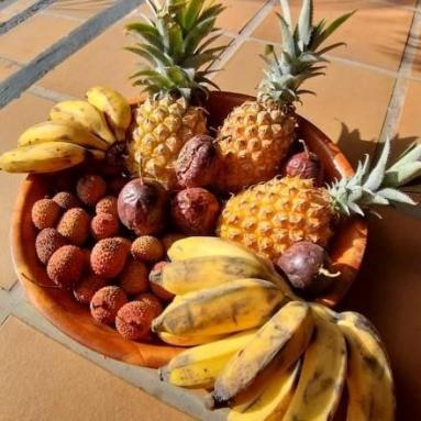 La Réunion fruits exotiques