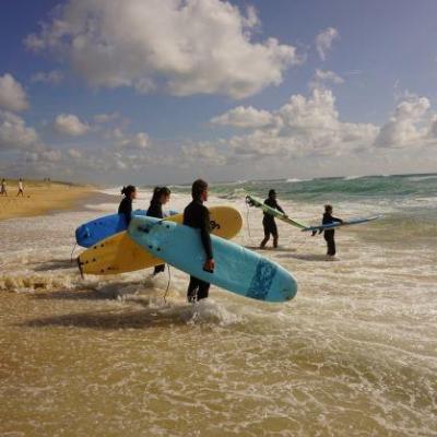 Surf Cap Ferret